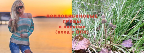 шишки Верхнеуральск