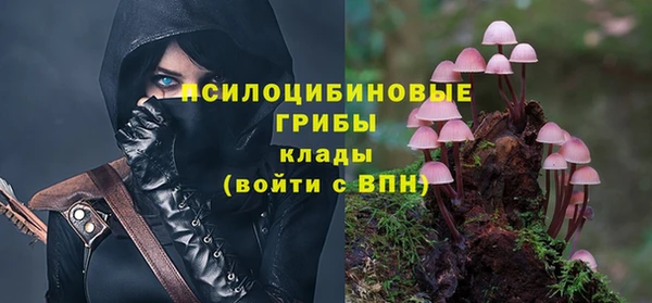 mix Верхний Тагил