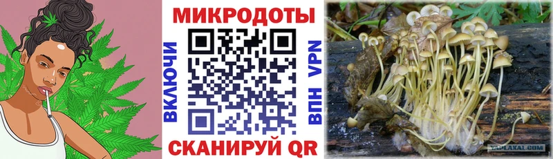 Купить закладки  Верещагино  Галлюциногенные грибы Magic Shrooms 